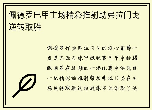 佩德罗巴甲主场精彩推射助弗拉门戈逆转取胜 佩德罗巴甲主场精彩推射助弗拉门戈逆转取胜