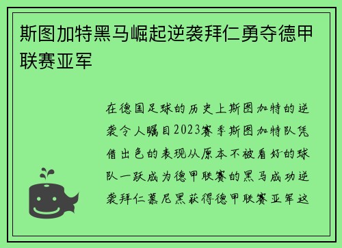 斯图加特黑马崛起逆袭拜仁勇夺德甲联赛亚军 斯图加特黑马崛起逆袭拜仁勇夺德甲联赛亚军